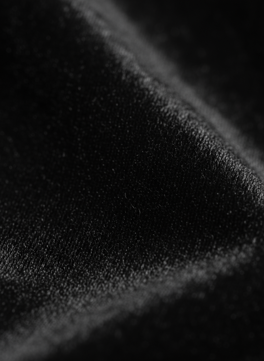 Velvet Elegance Abaya Dress